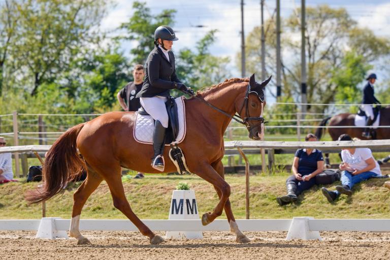 Dekorativní obrázek