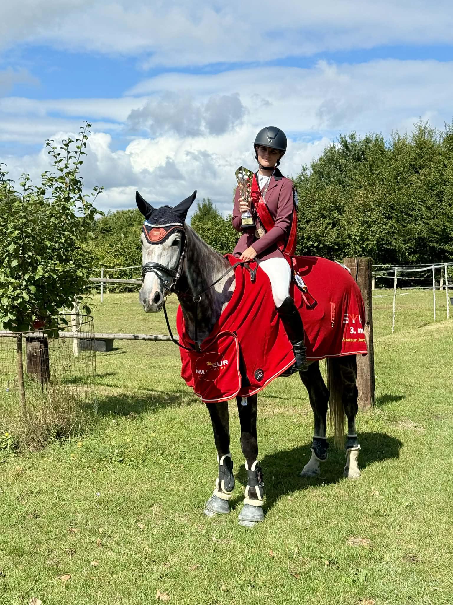 Dekorativní obrázek