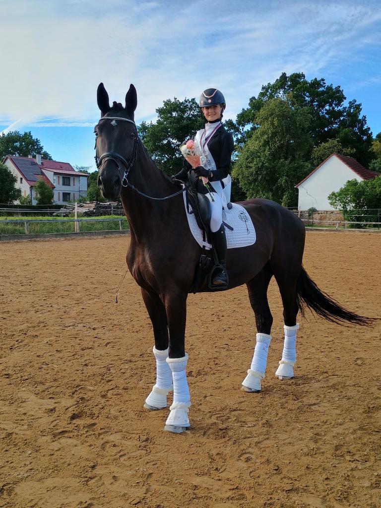 Dekorativní obrázek