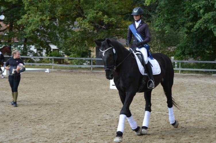 Dekorativní obrázek