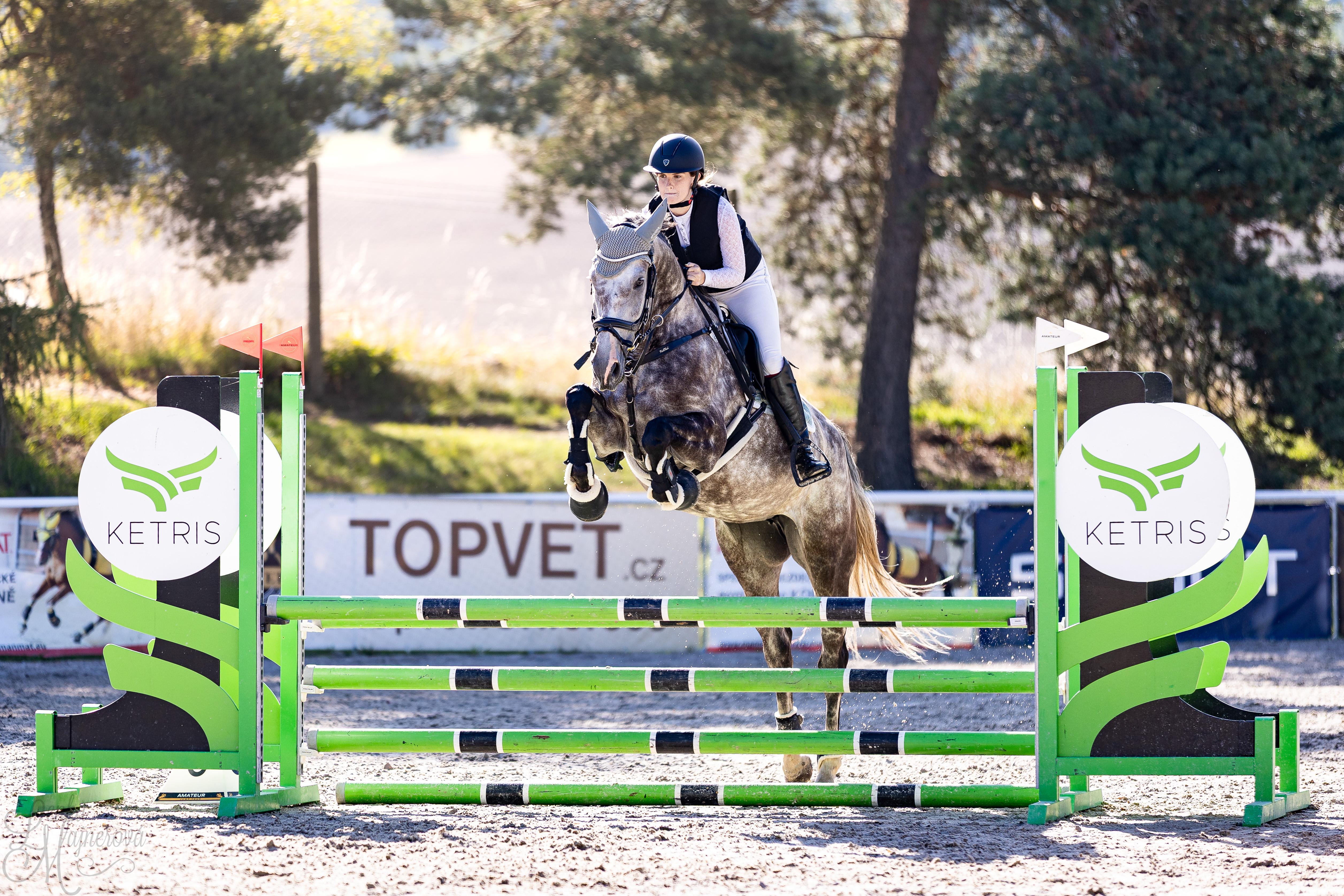 Dekorativní obrázek