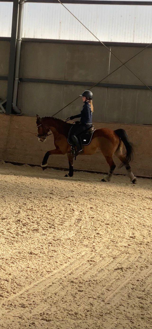 Dekorativní obrázek