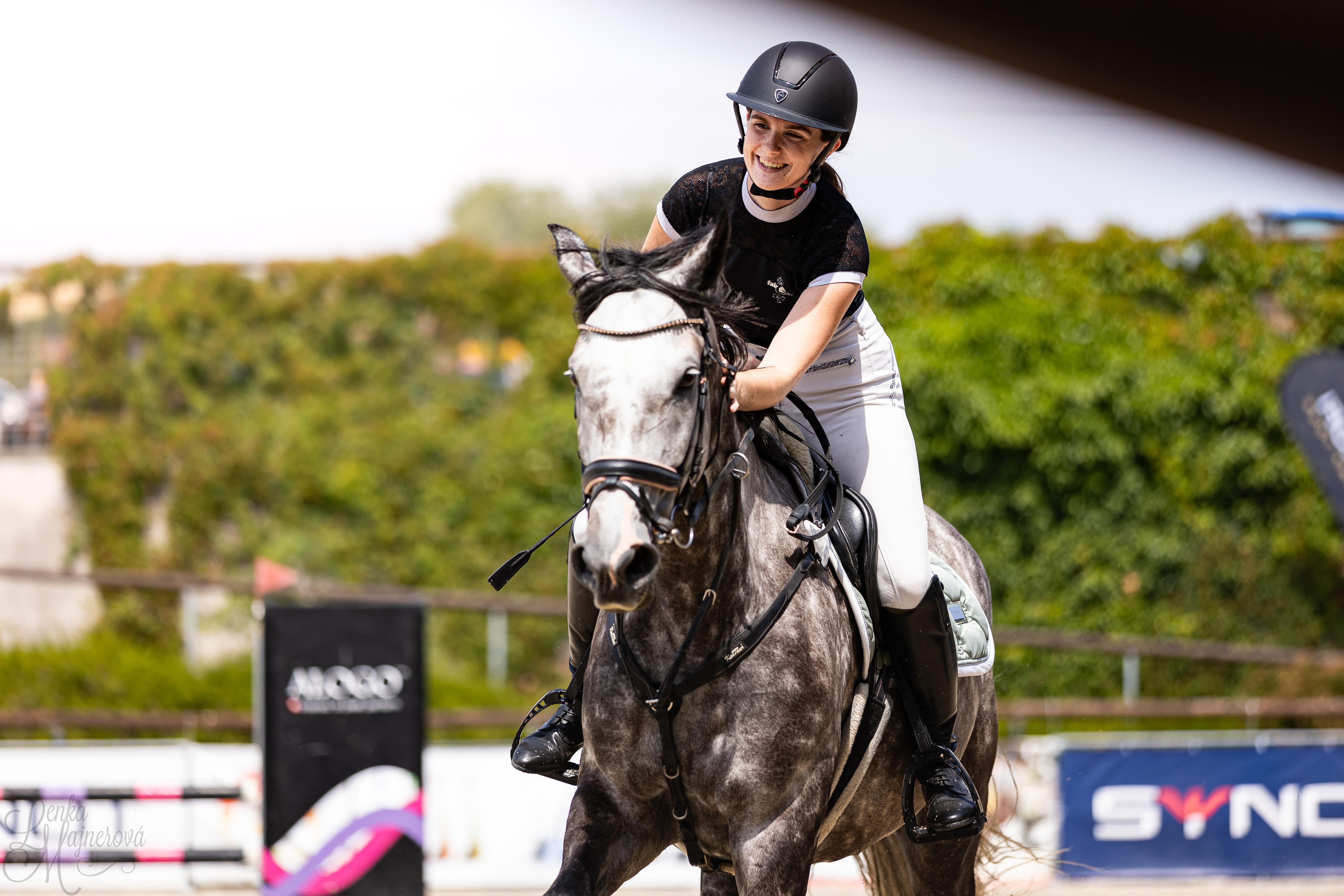 Dekorativní obrázek