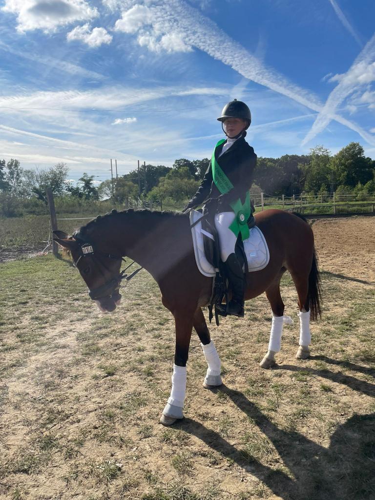 Dekorativní obrázek