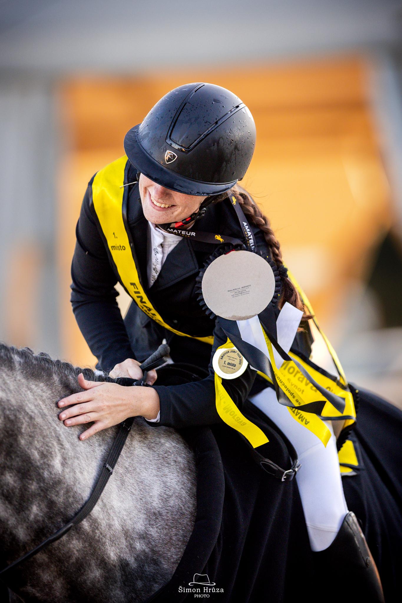 Dekorativní obrázek