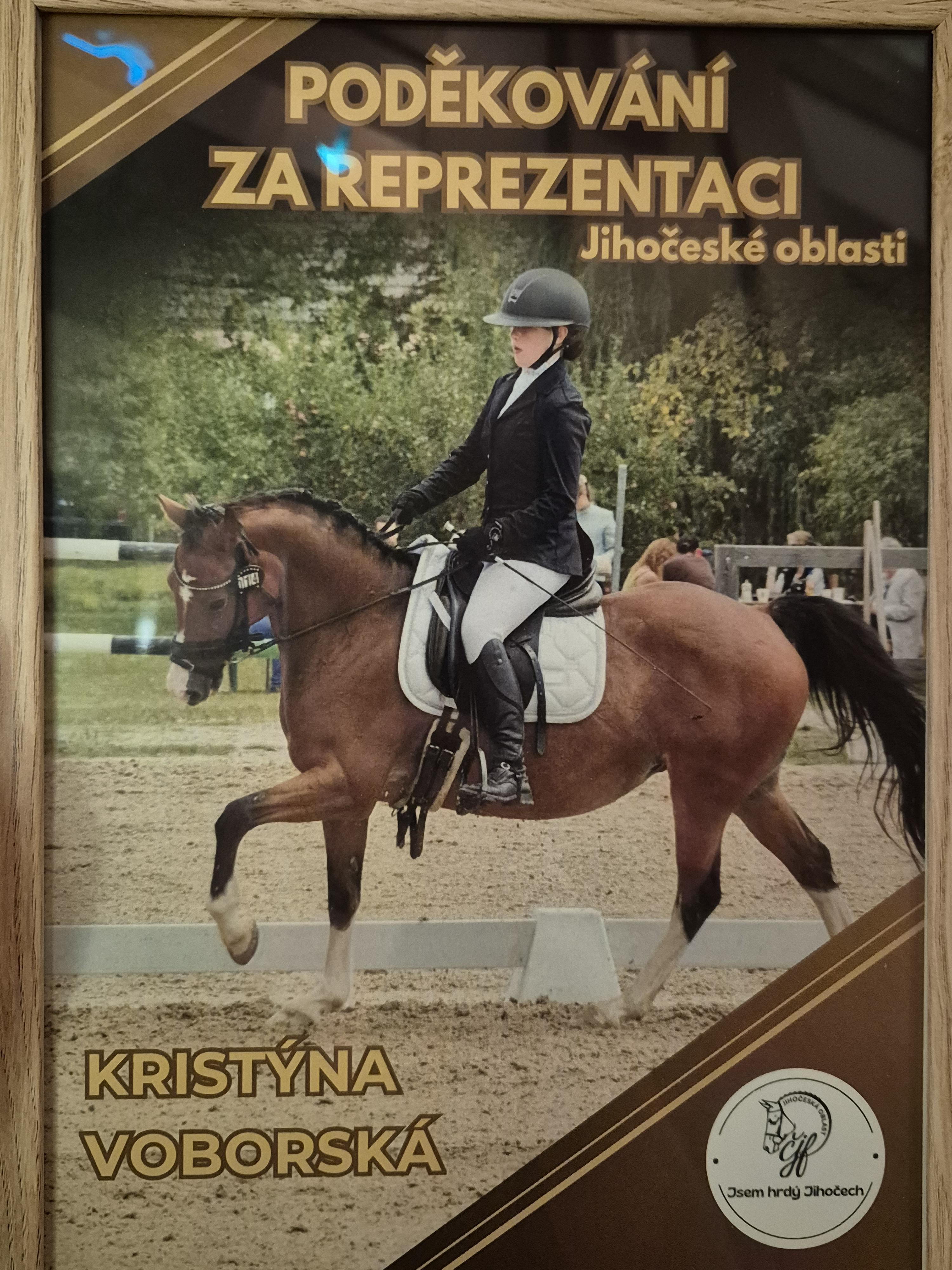 Dekorativní obrázek