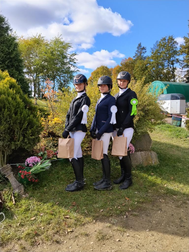 Dekorativní obrázek