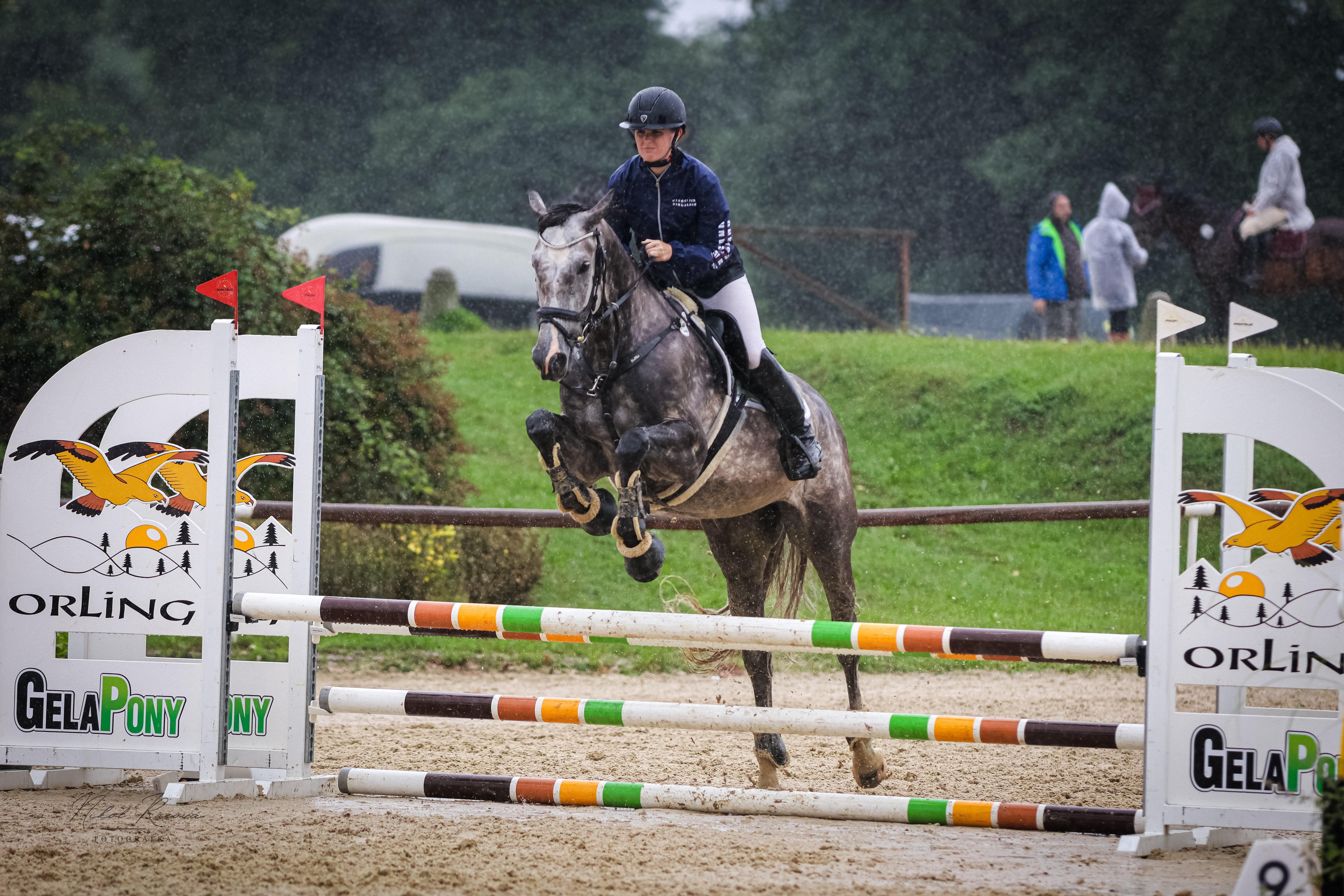 Dekorativní obrázek