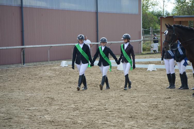 Dekorativní obrázek