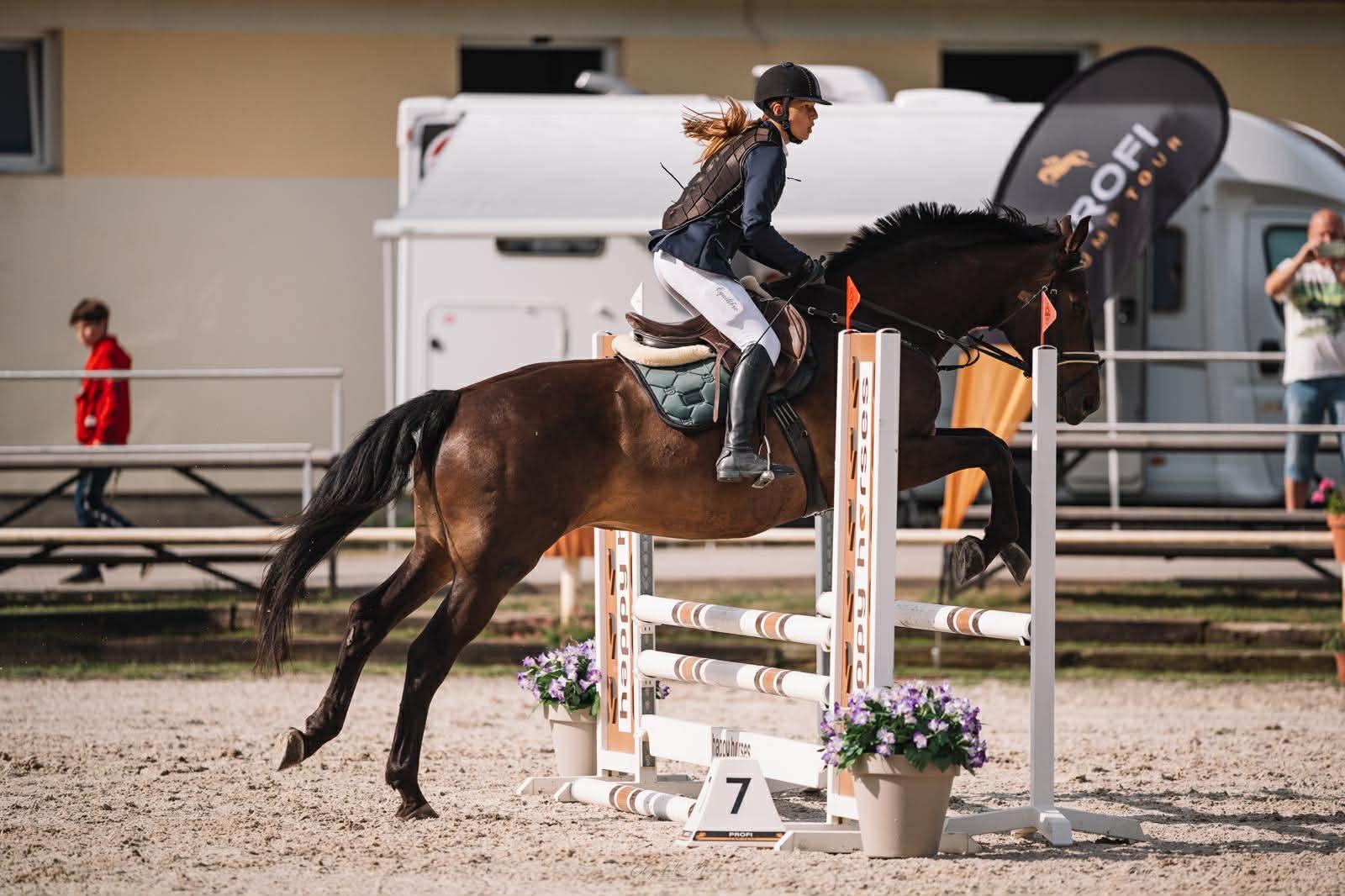 Dekorativní obrázek