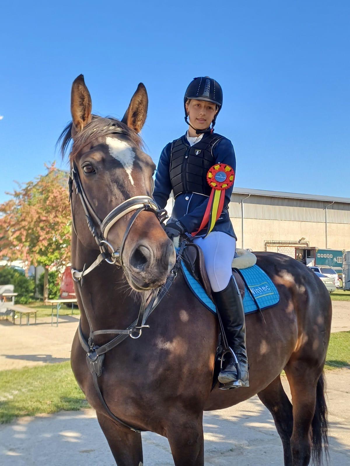 Dekorativní obrázek