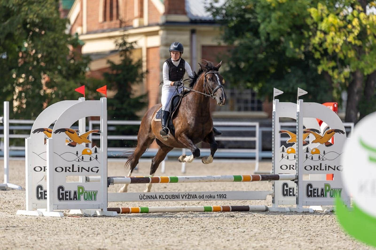 Dekorativní obrázek