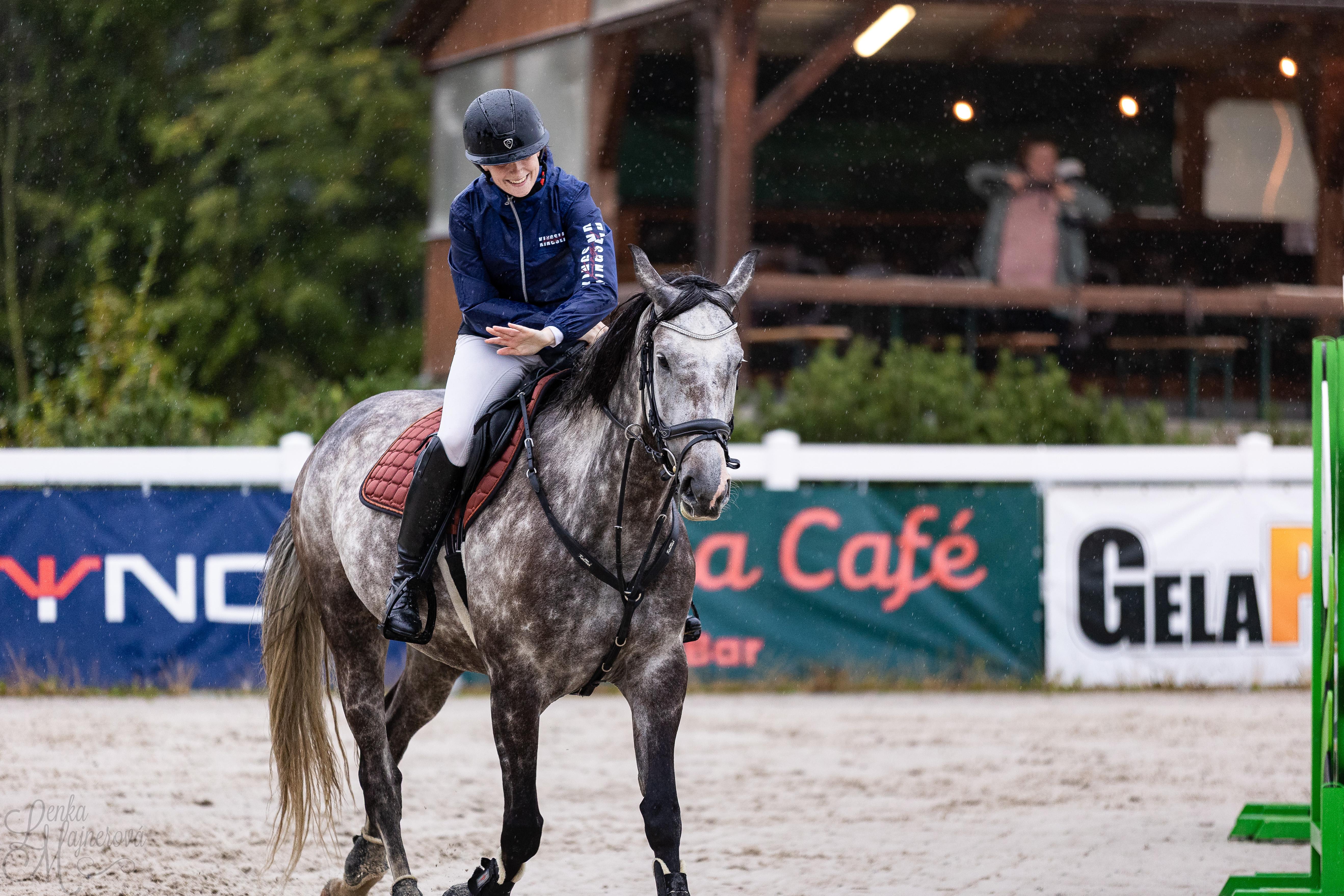 Dekorativní obrázek