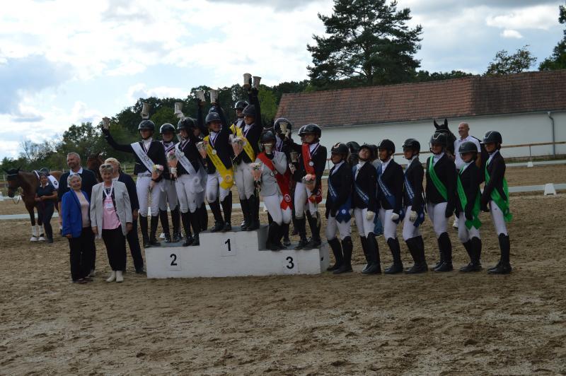 Dekorativní obrázek