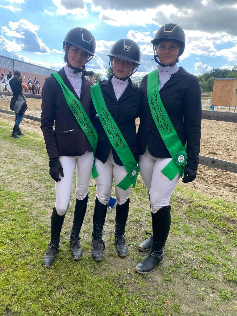 Dekorativní obrázek