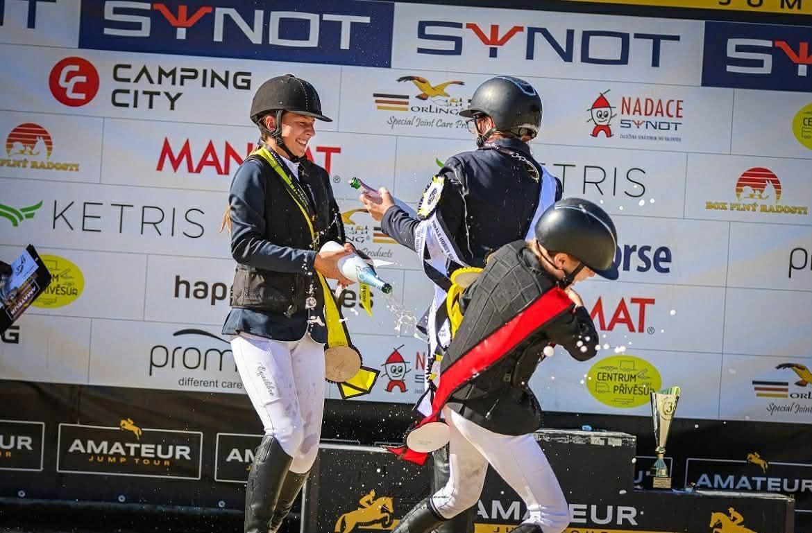 Dekorativní obrázek