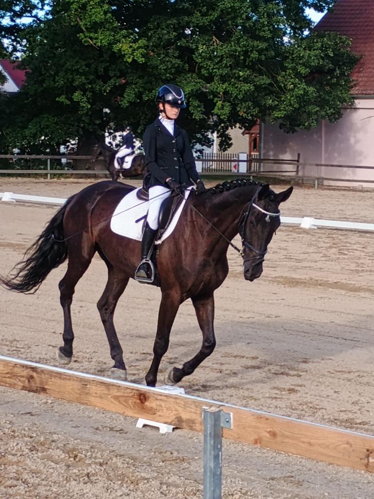 Dekorativní obrázek