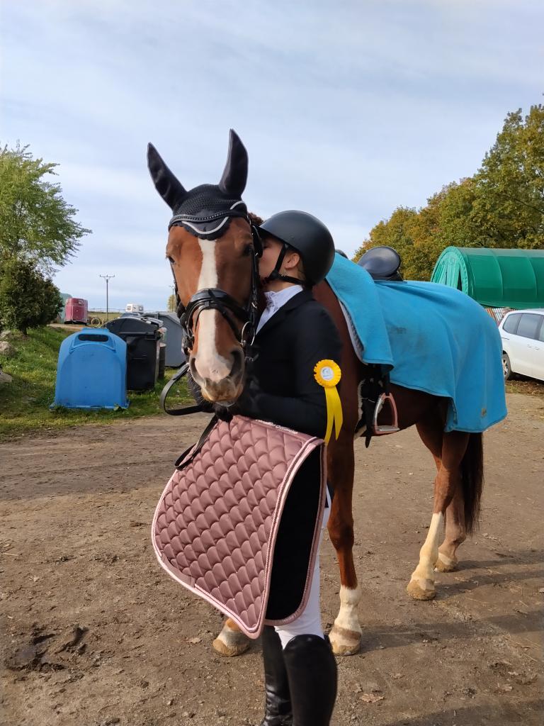 Dekorativní obrázek