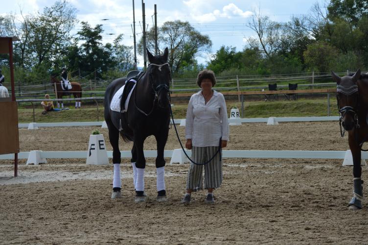 Dekorativní obrázek