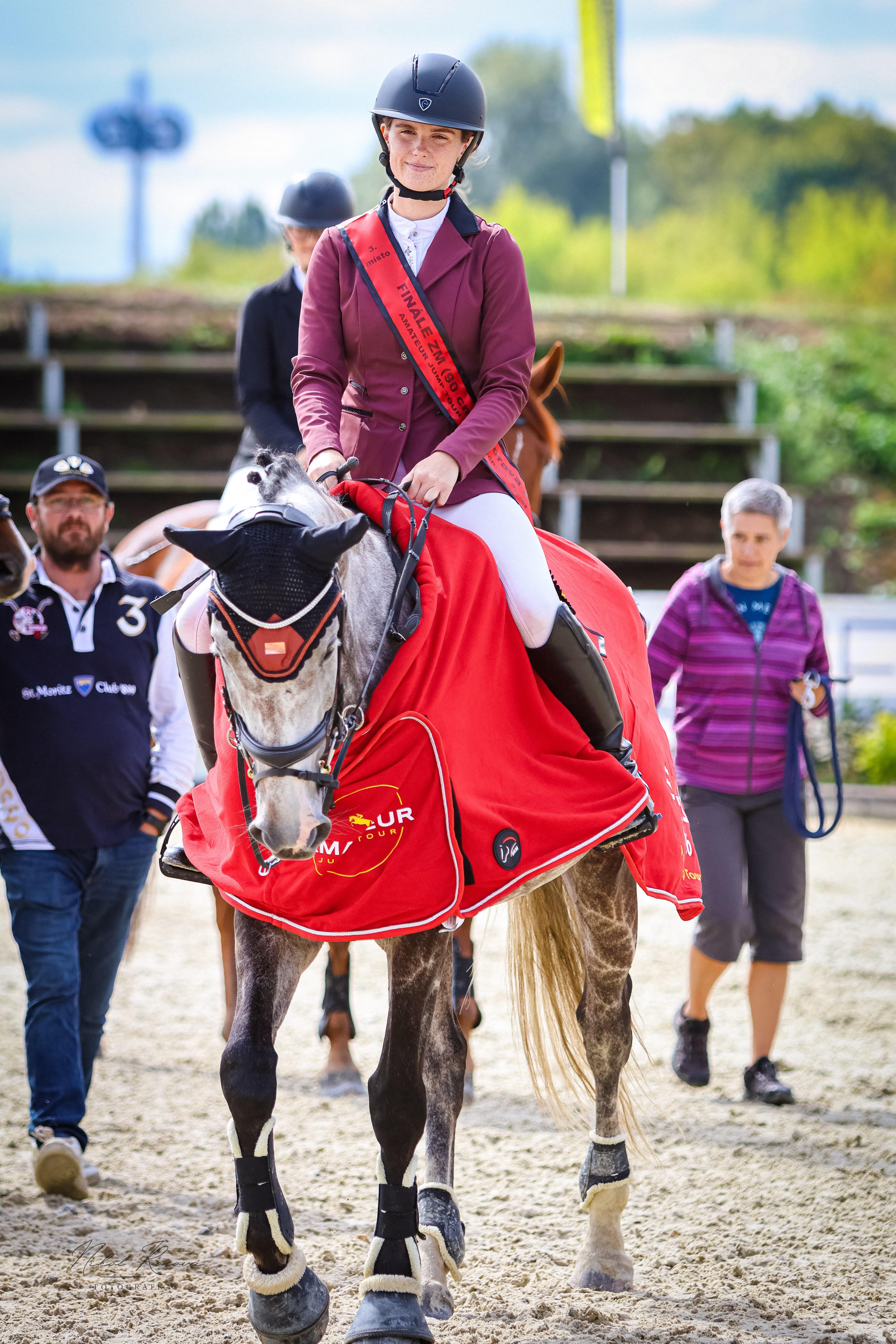 Dekorativní obrázek