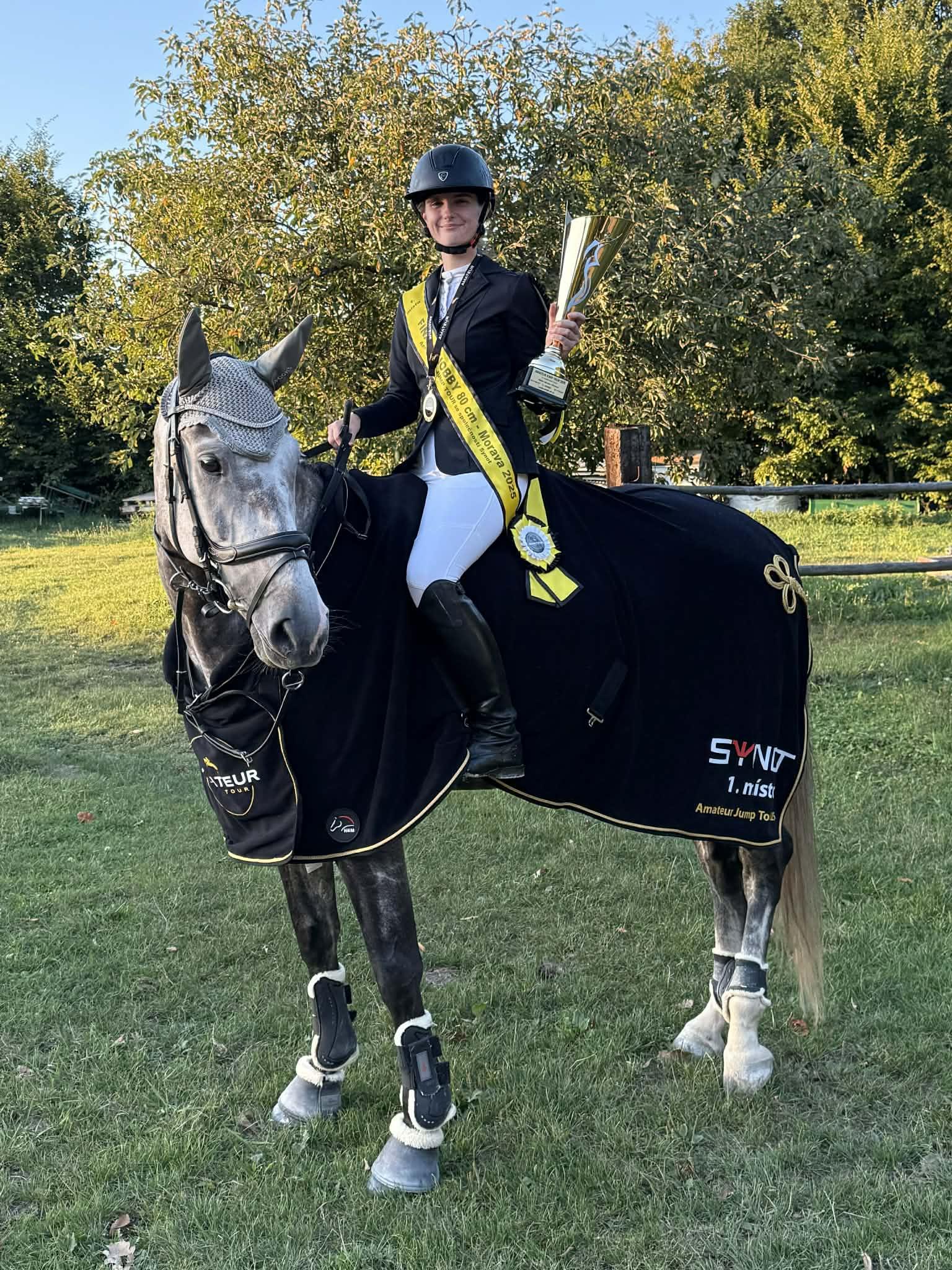 Dekorativní obrázek