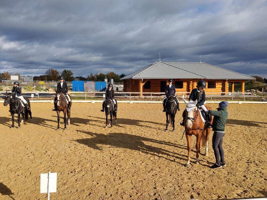 Obrázek příspěvku