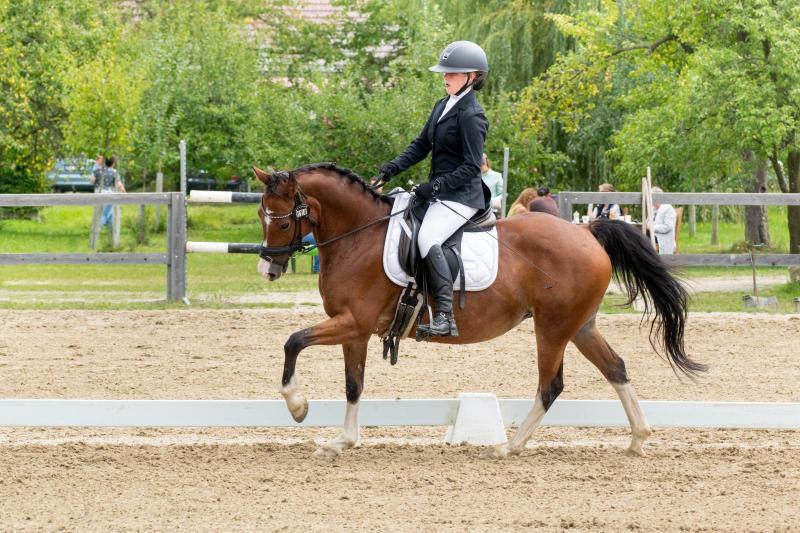 Dekorativní obrázek