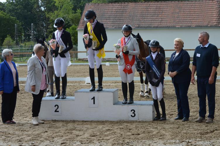 Dekorativní obrázek