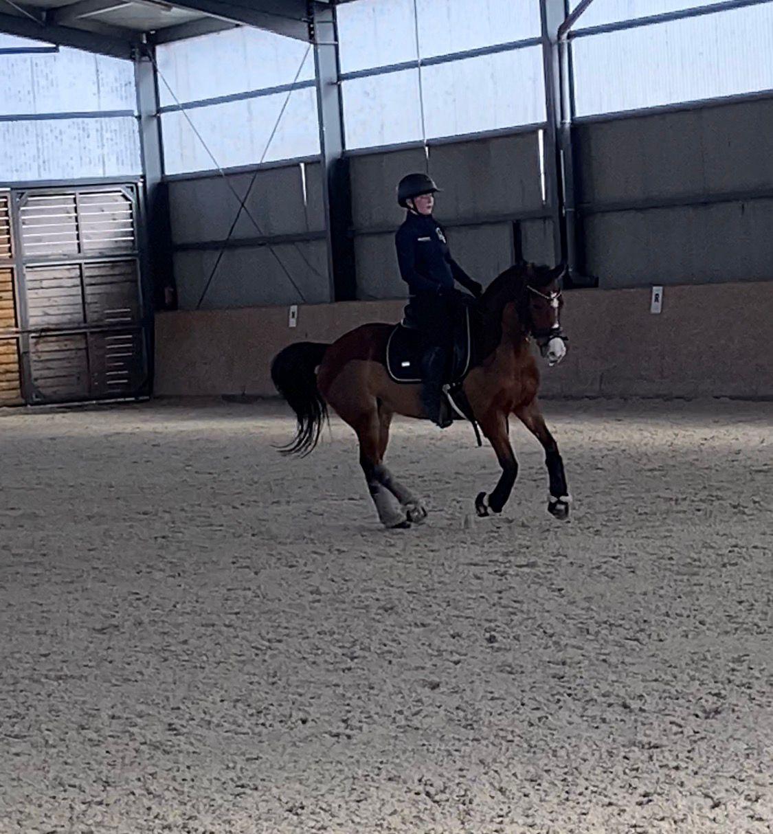 Dekorativní obrázek