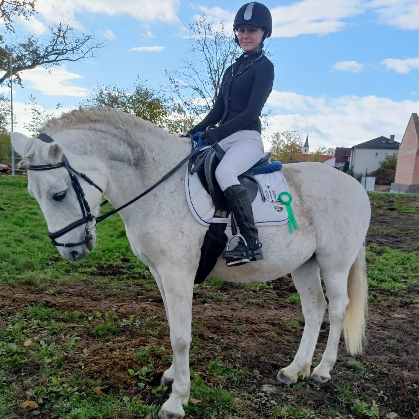 Obrázek příspěvku