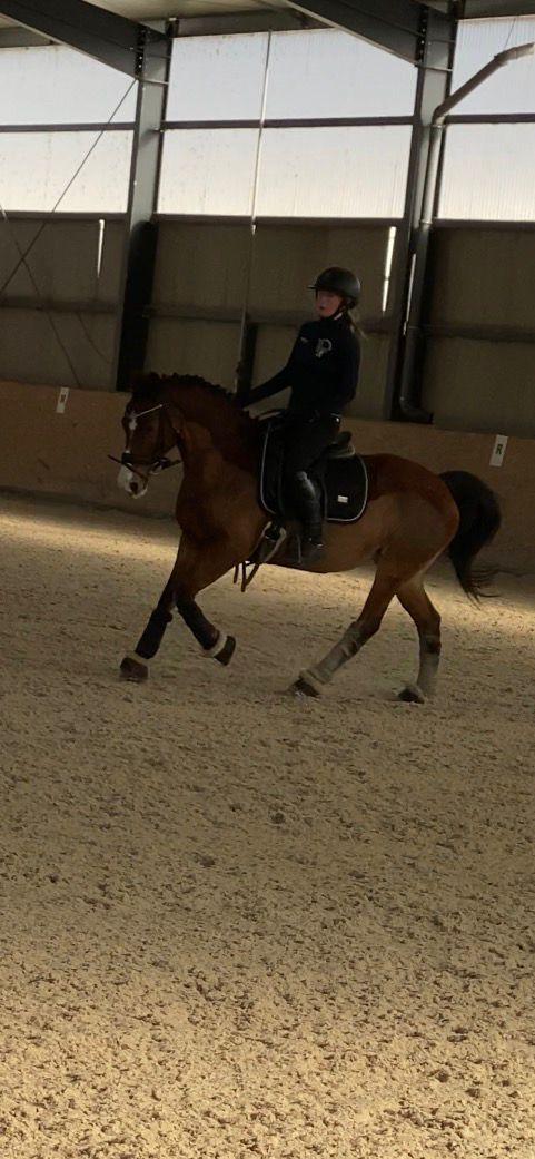 Dekorativní obrázek