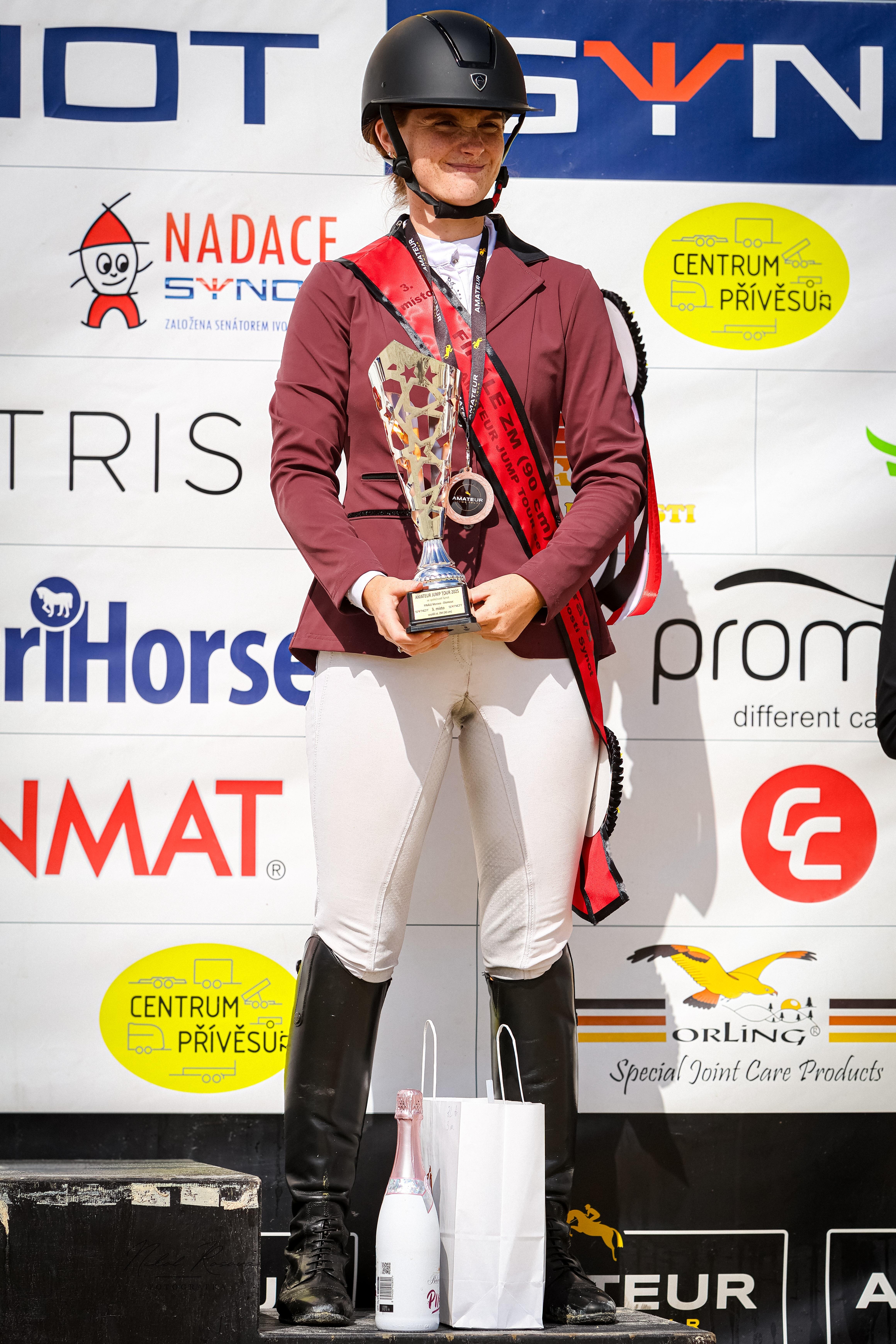 Dekorativní obrázek