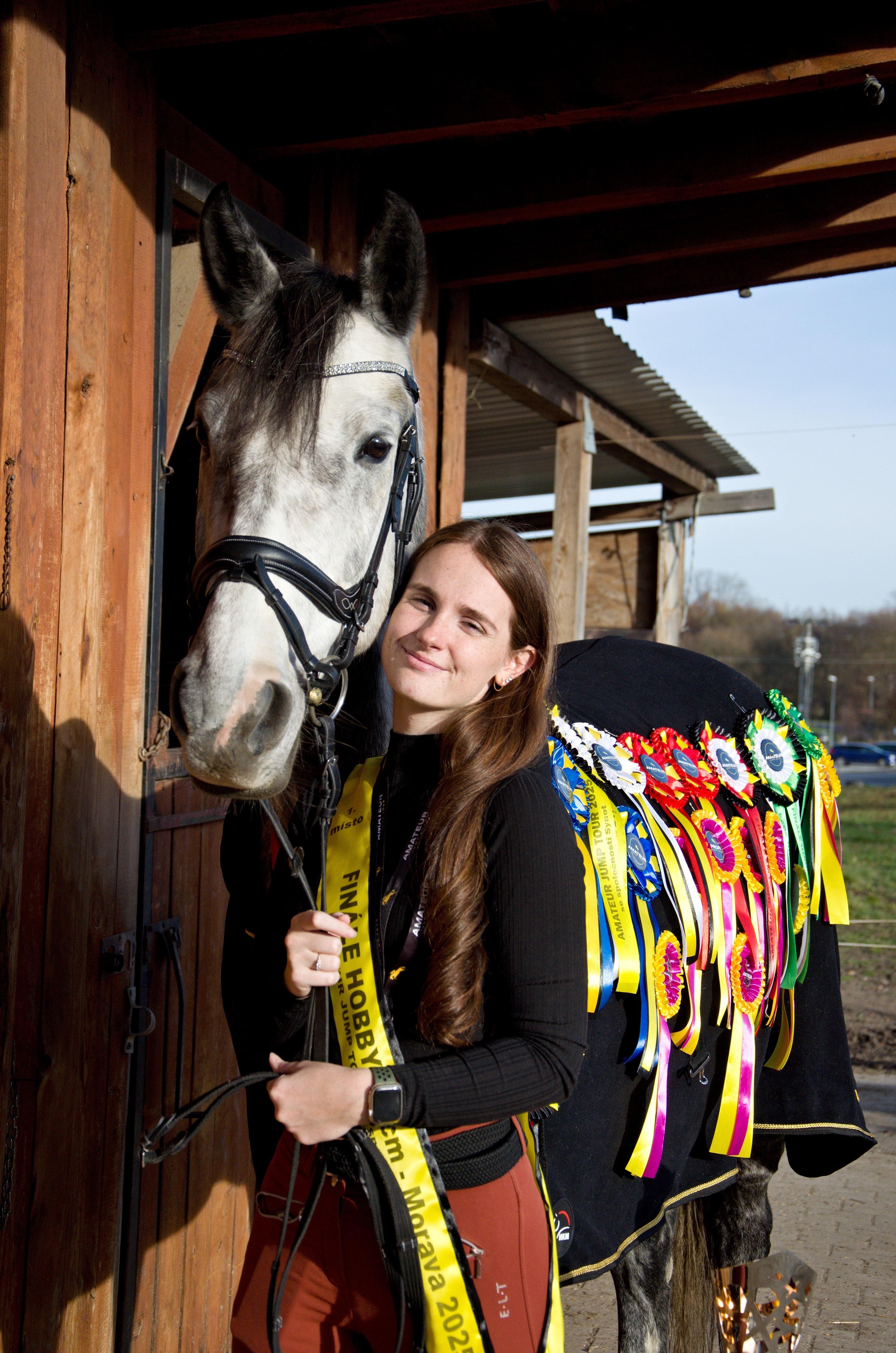 Dekorativní obrázek
