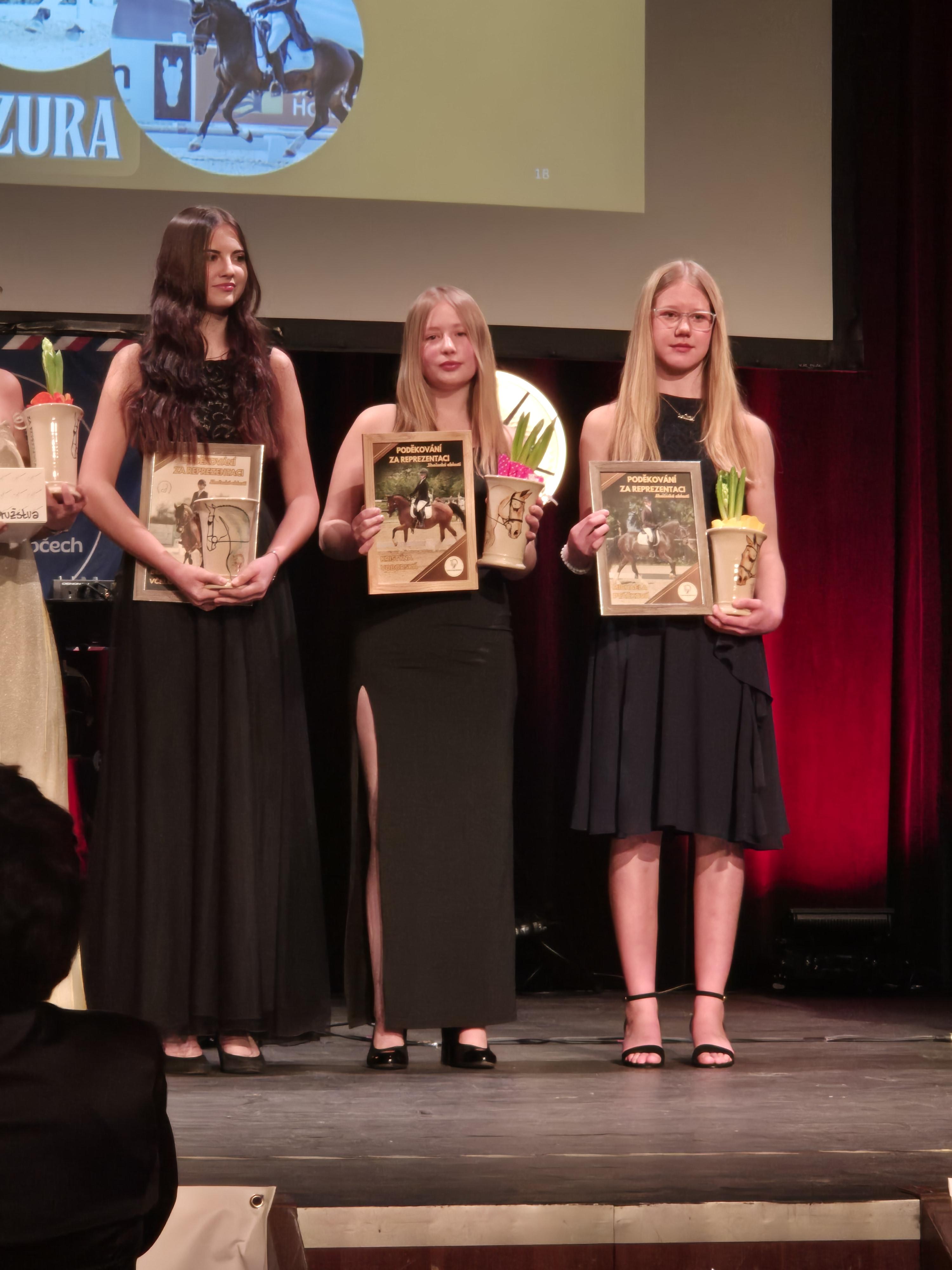 Dekorativní obrázek