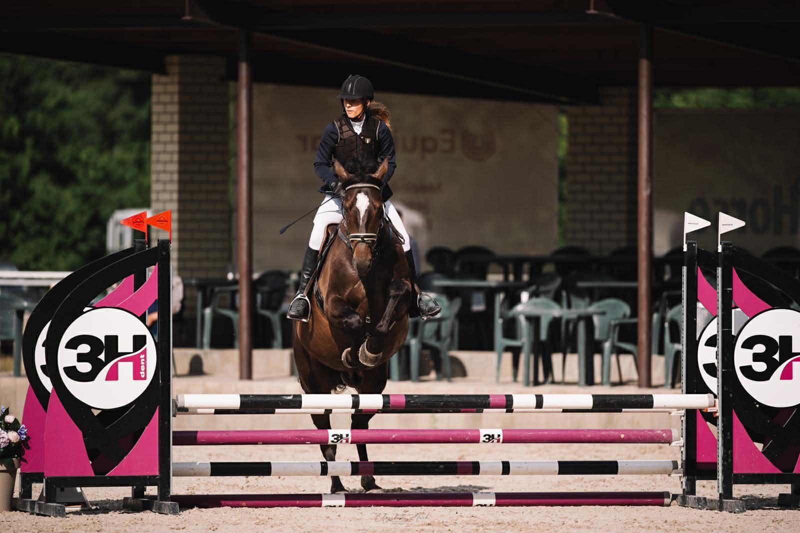 Dekorativní obrázek