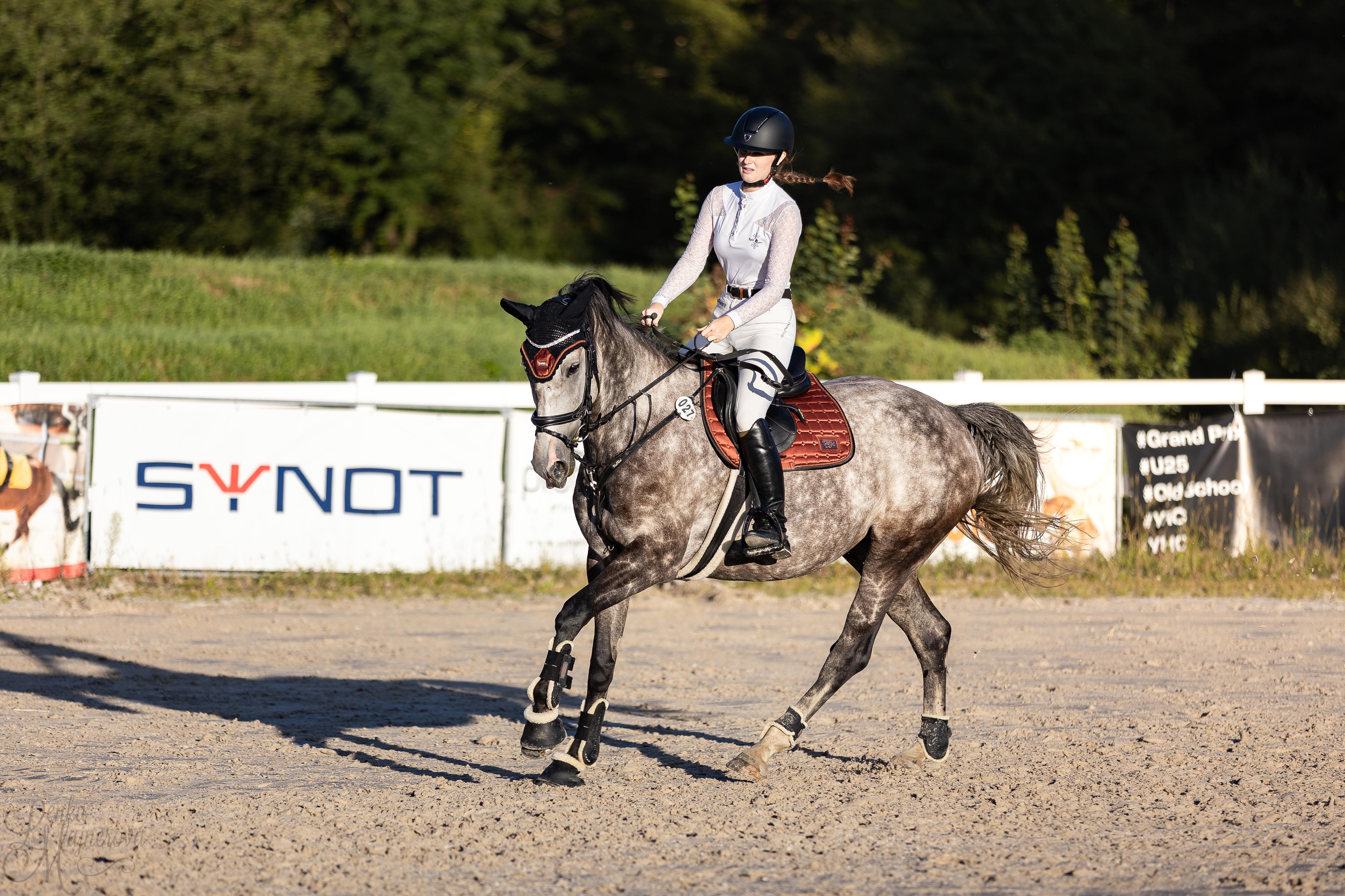 Dekorativní obrázek