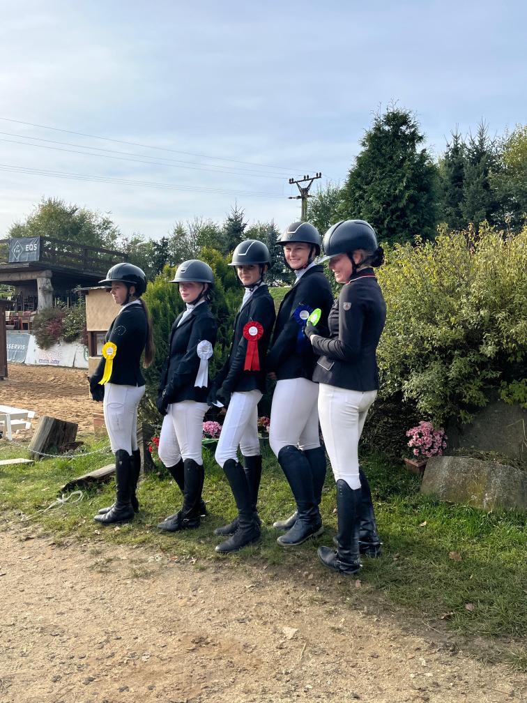 Dekorativní obrázek