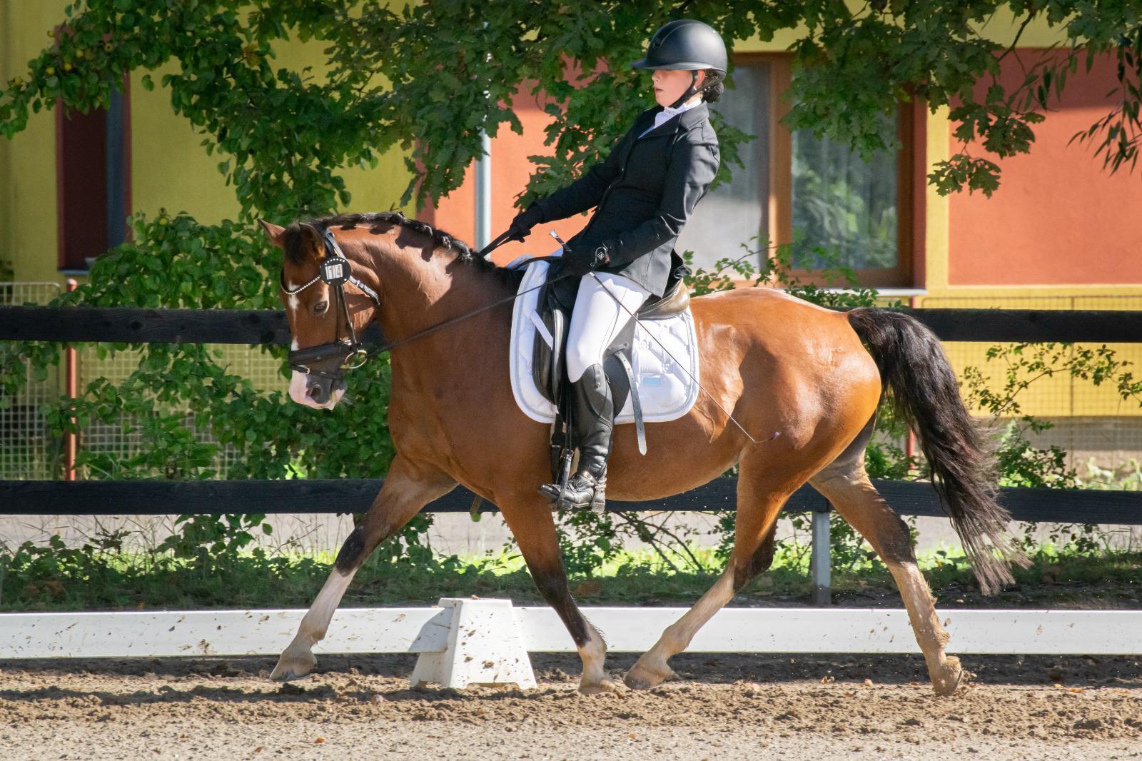 Dekorativní obrázek