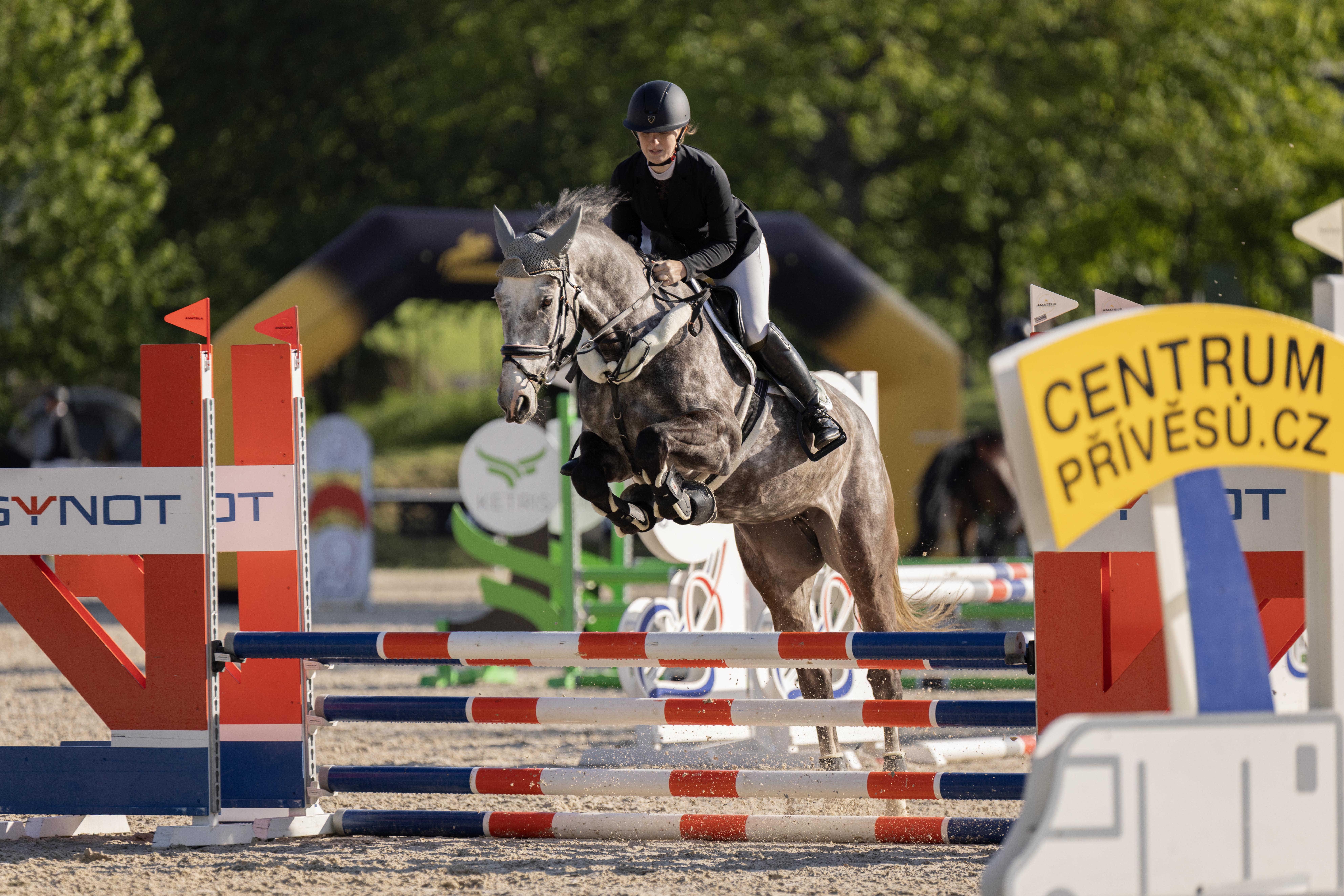 Dekorativní obrázek