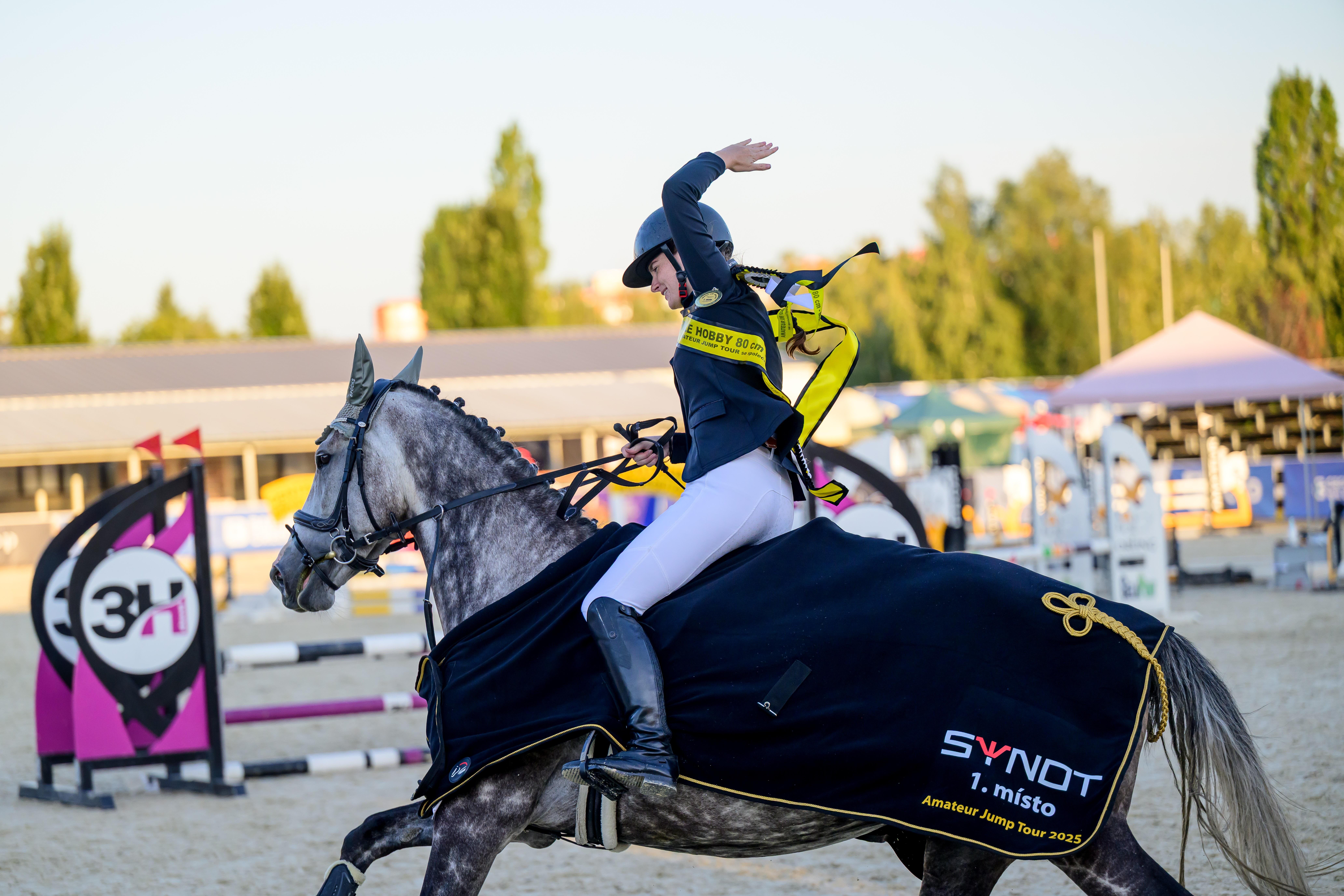 Dekorativní obrázek