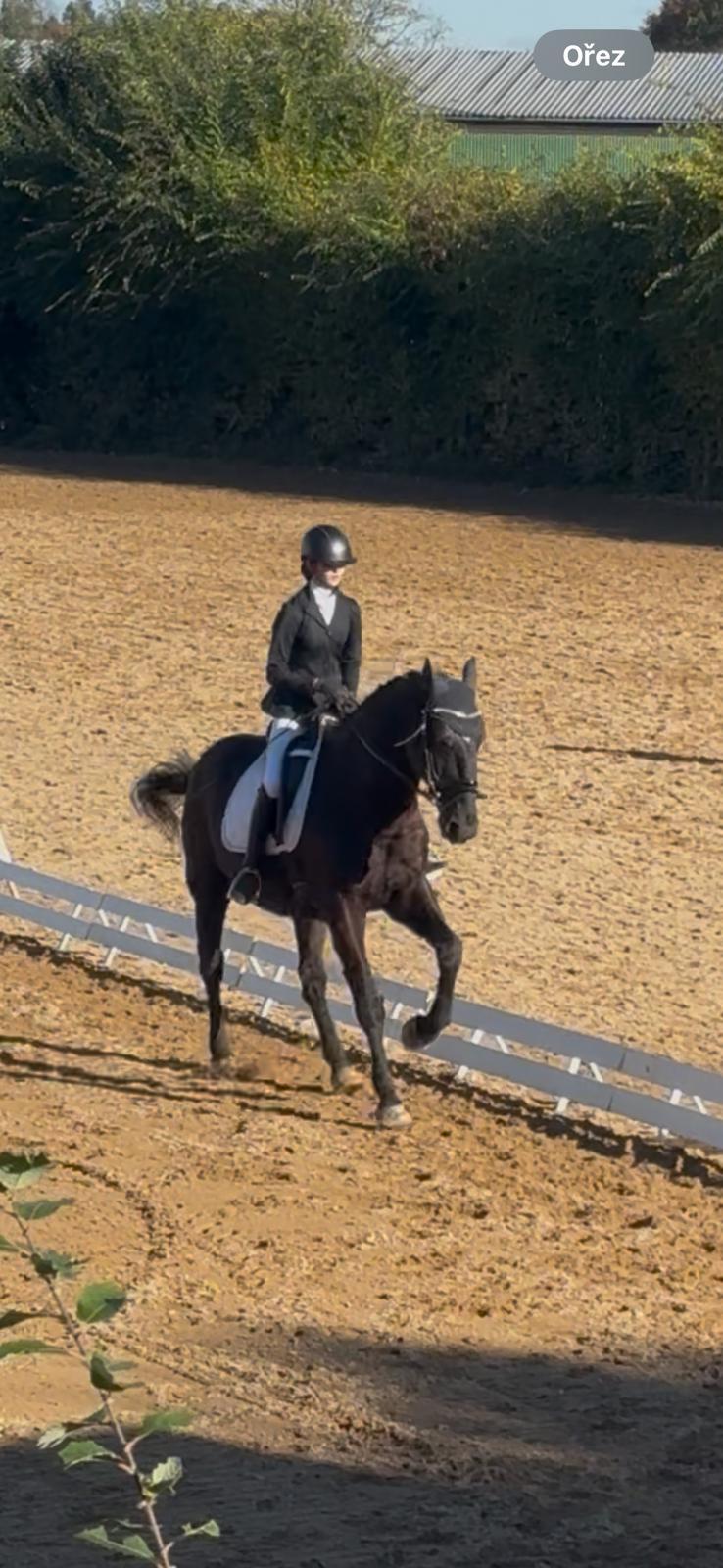 Dekorativní obrázek