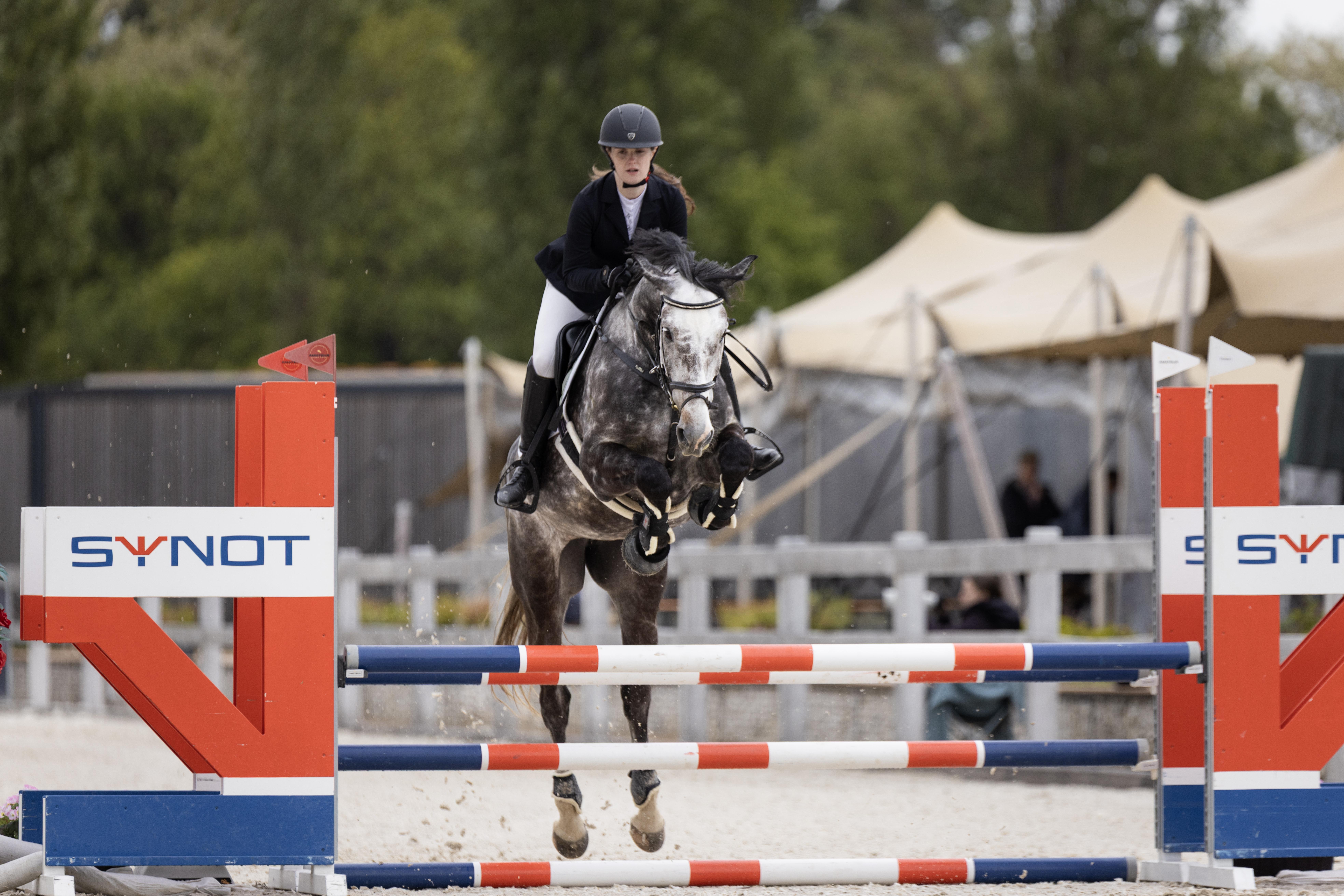 Dekorativní obrázek