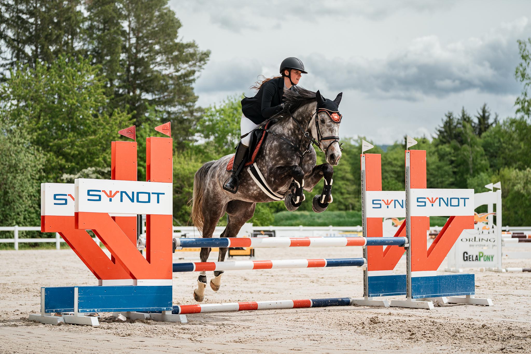 Dekorativní obrázek