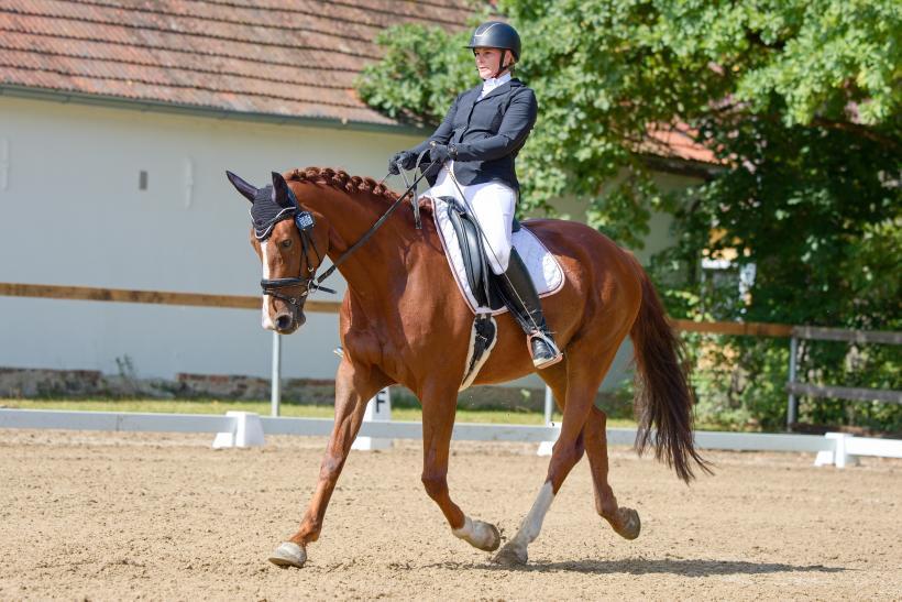 Dekorativní obrázek