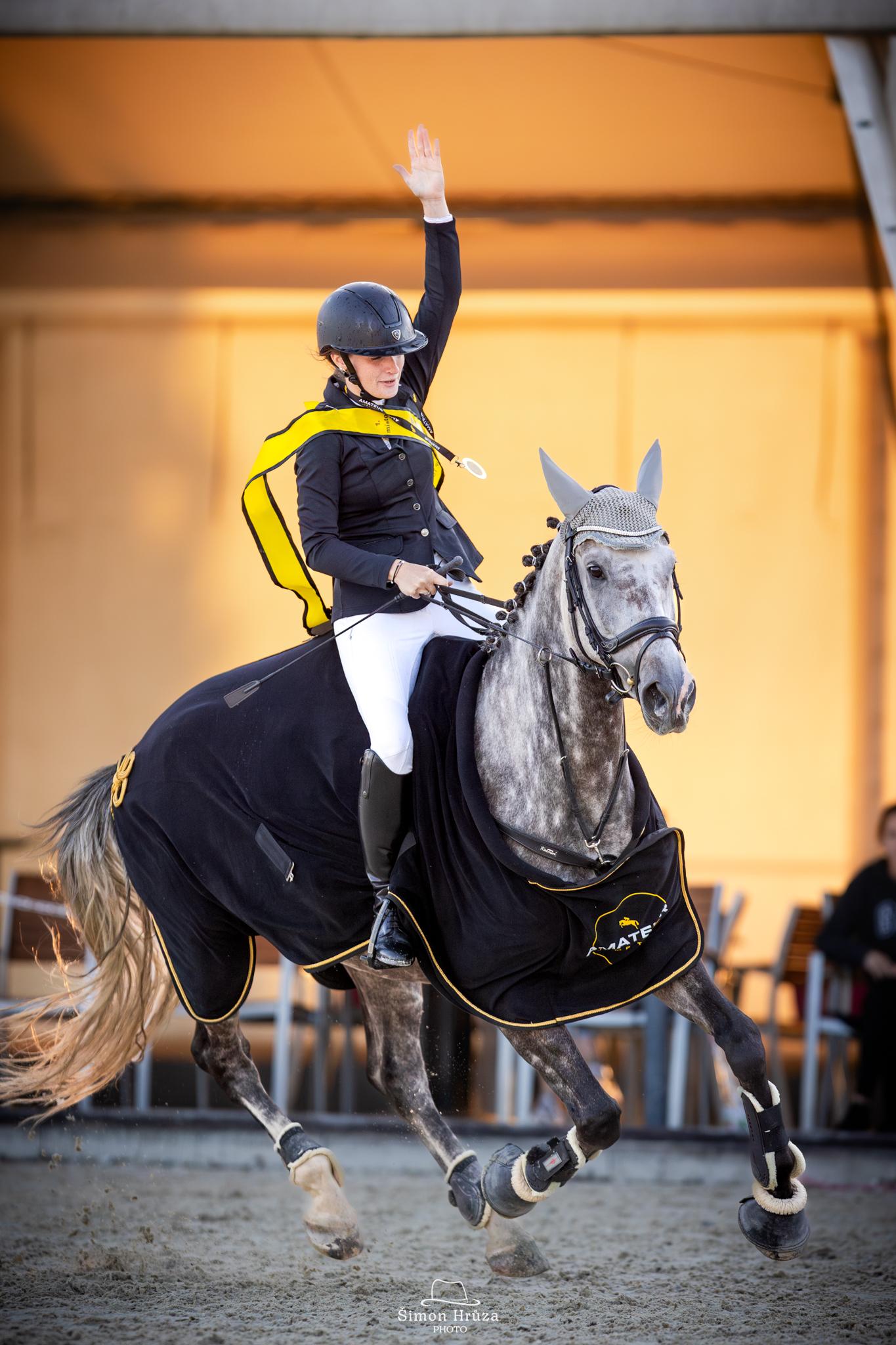 Dekorativní obrázek