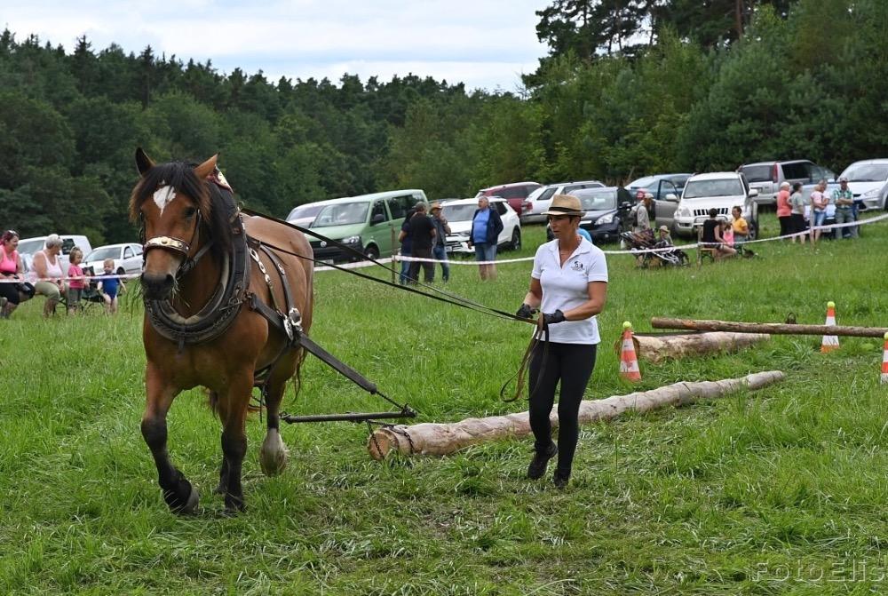 Dekorativní obrázek