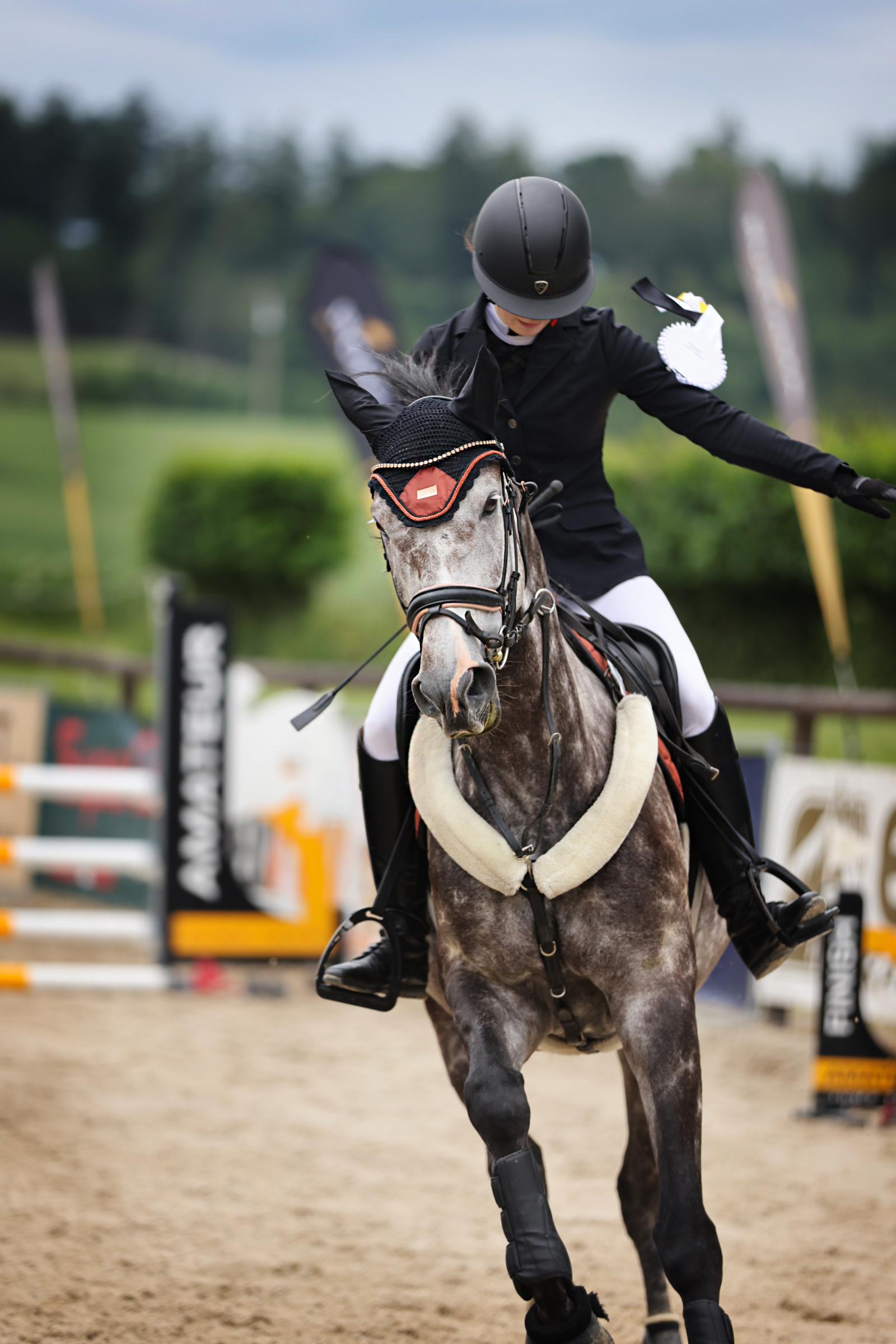 Dekorativní obrázek