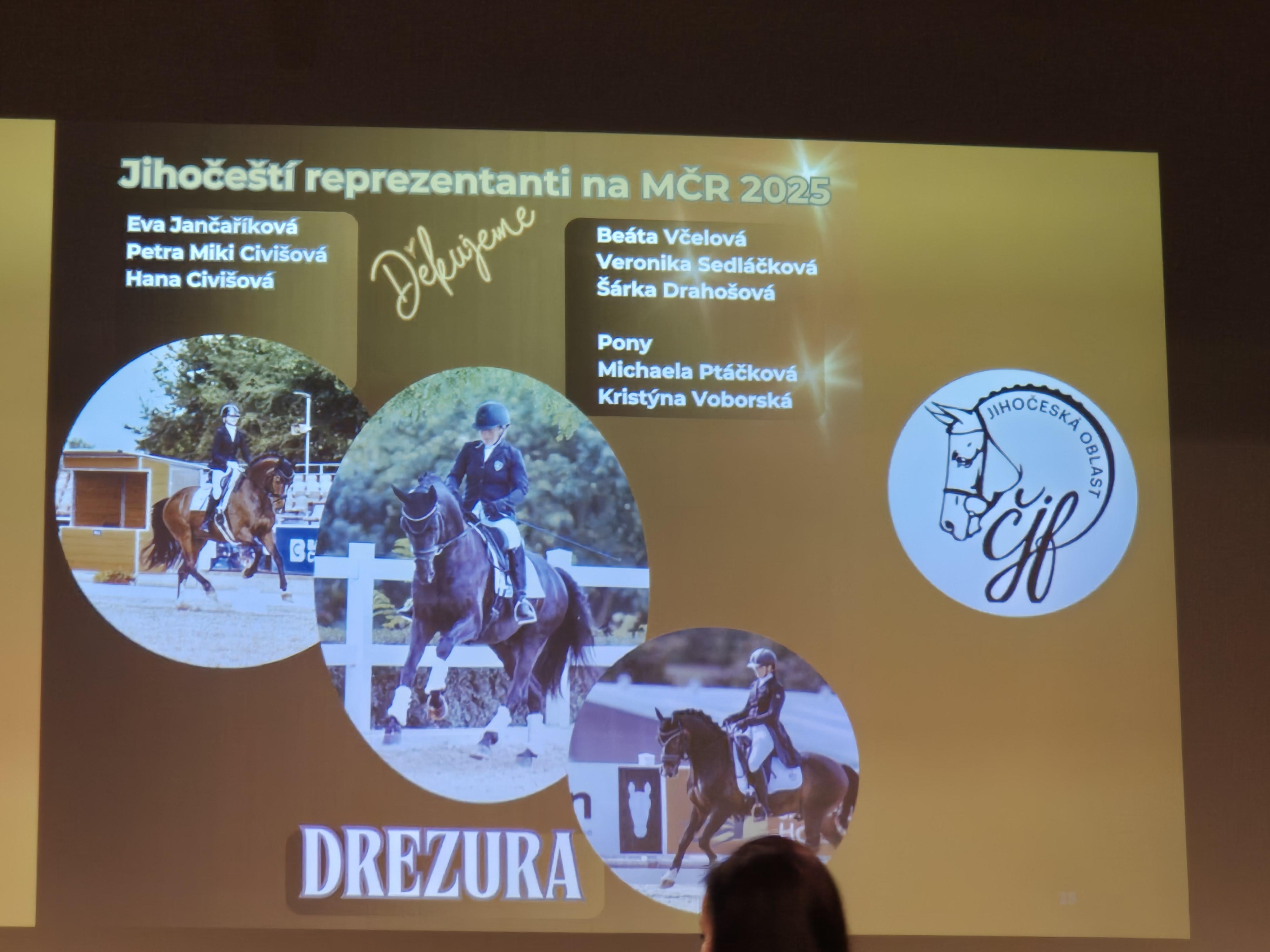 Dekorativní obrázek