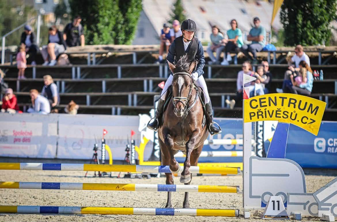 Dekorativní obrázek