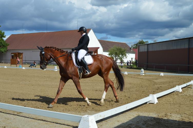 Dekorativní obrázek